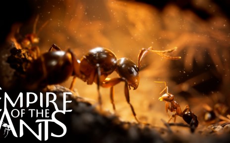 Empire of the Ants | Feature Image